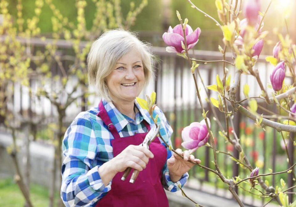 real estate property preparation