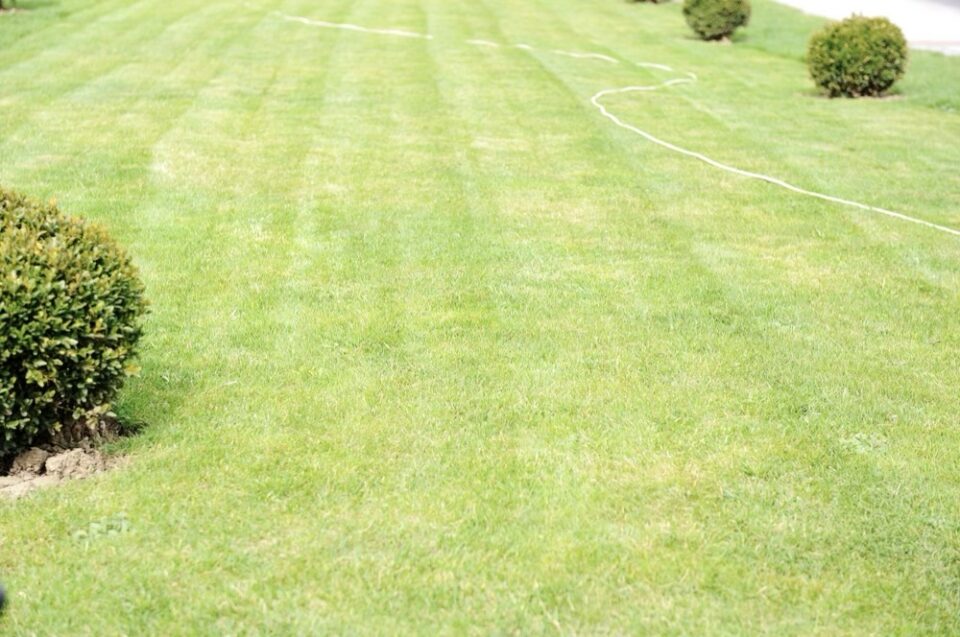 Why Updating Your Commercial Property is Essential